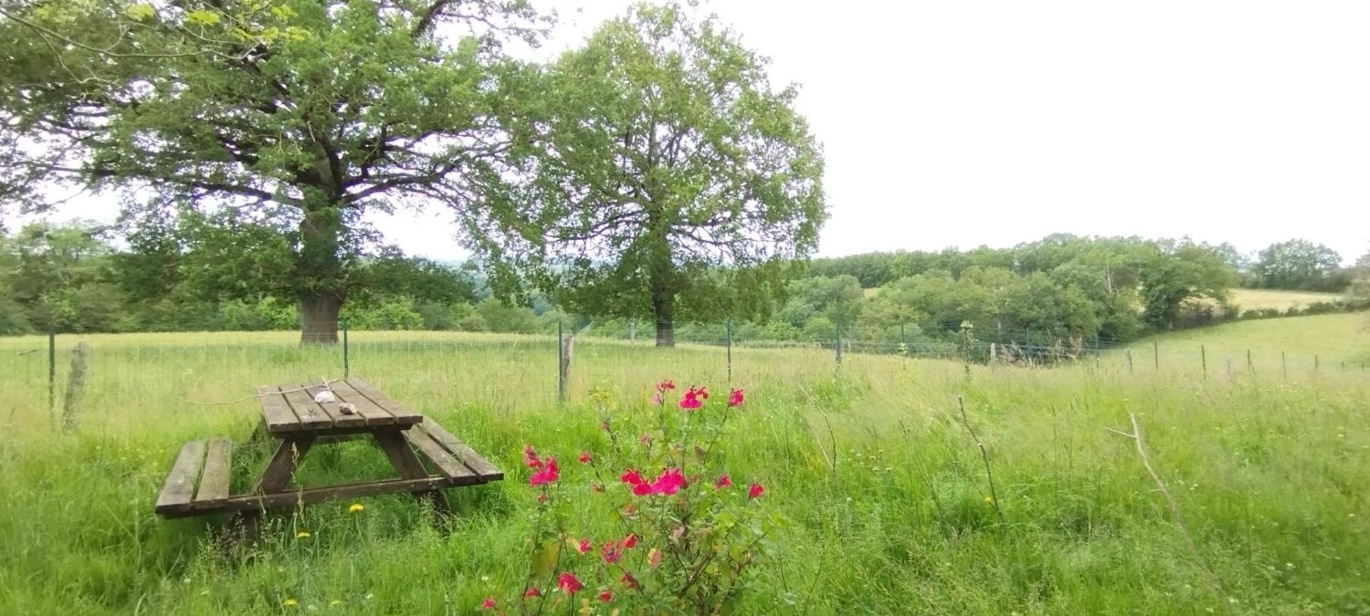 Gite L'Esprit Nature Naucelle Eksteriør billede